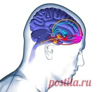 5 когнитивных процессов, мешающих похудеть Многие из наших сиюминутных решений продиктованы нашим подсознанием. Наш мозг мешает нам сжигать жир гораздо чаще, чем нам бы хотелось. Формирование устойчивых привычек позволяет успешно и стабильно х...