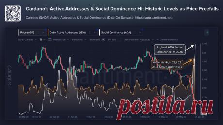 ADA Cardano стала одной из самых обсуждаемых криптовалют