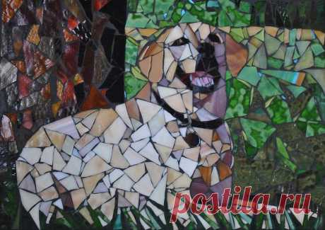 Pets | Stevo Mosaics