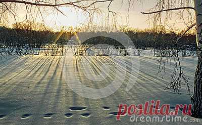 Stock Photos, Royalty-Free Images & Video Footage By Dreamstime Stock Photography