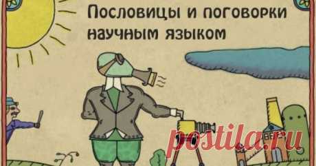 Пословицы и поговорки научным языком