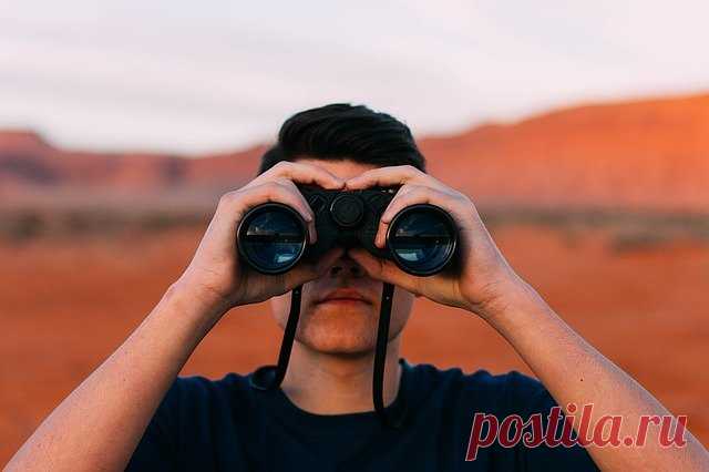 И в России это возможно. А может это ваш сосед? | Журнал 