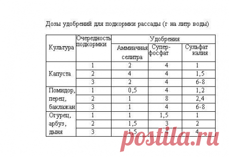 15 самых серьезных ошибок при выращивании рассады
