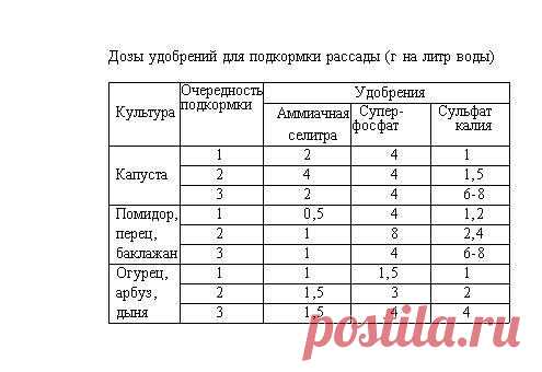 15 самых серьезных ошибок при выращивании рассады