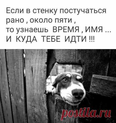 22 классных анекдота, и шутки в картинках