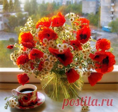 Людмила Рамазанова