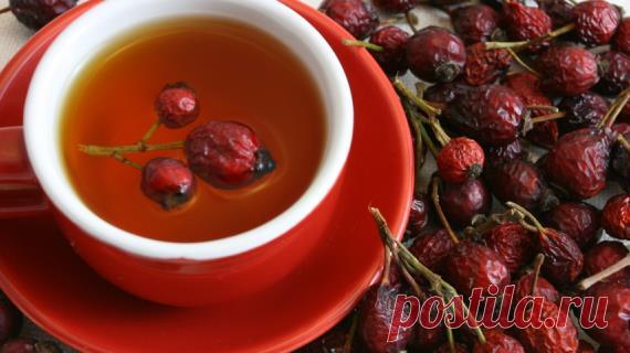 Полезный шиповник может быть опасен для здоровья Сезон простуд открыт и многие из нас начали заваривать шиповник каждый день. Но пить настой из шиповника можно далеко не всем!