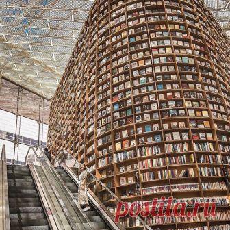 Who wouldn’t want to spend their entire day here?! 📚😍 Follow @voyaged to discover more places like this! | By @anniepwanderlust
-
#voyaged #9gag