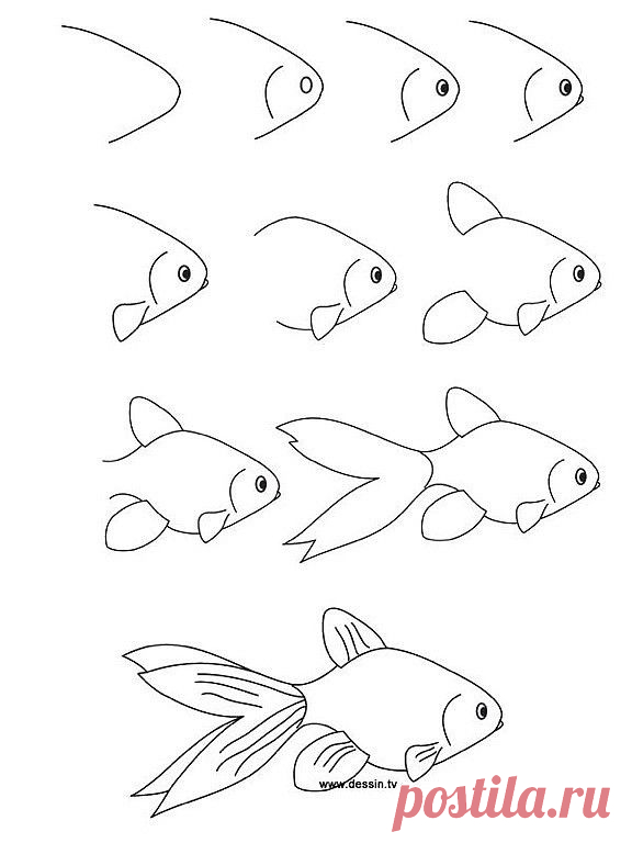 Схемы рисования животных и птиц и рыб .