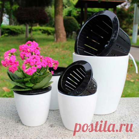Горшки и контейнеры для комнатных растений. Большую часть растений для продажи выращивают в пластиковых горшках. Они легки, недороги, их удобно мыть, на них не заводятся водоросли. Они дольше сохраняют влагу, и почва в них медленней высыхает. Но они менее долговечны, чем глиняные. Пластик со временем становится хрупким, и горшок может сломаться даже при легком ударе. Глиняный же разобьется, если вы действительно уроните его на твердую поверхность.