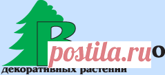 Оптовая продажа рассады клубники