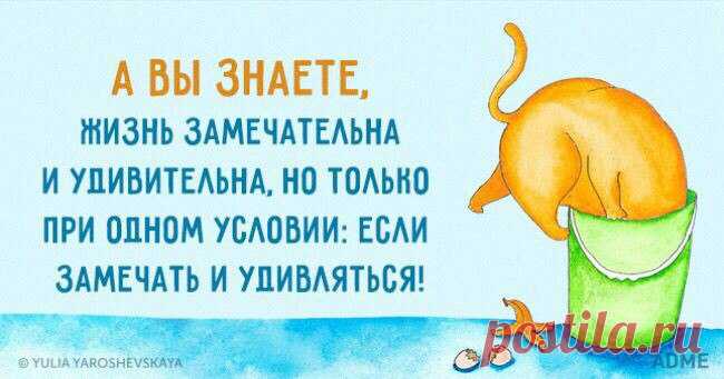 Диалоги