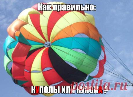 Я люблю русский язык!