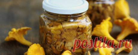 Лисички на зиму - 10 простых рецептов приготовления заготовок с пошаговыми фото