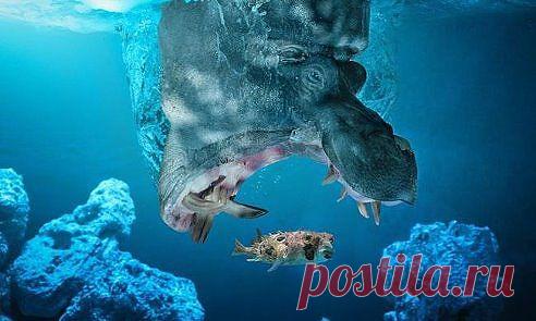 Одноклассники