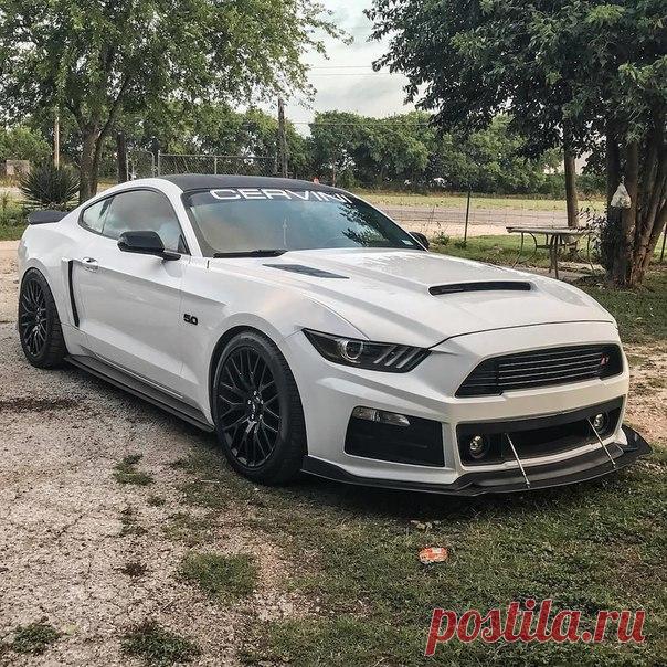 #Ford_Mustang