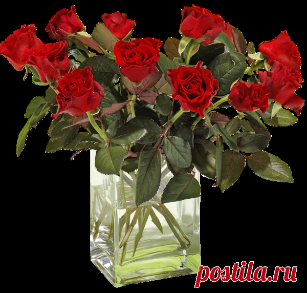 Поздравляю с Днем Рождения!