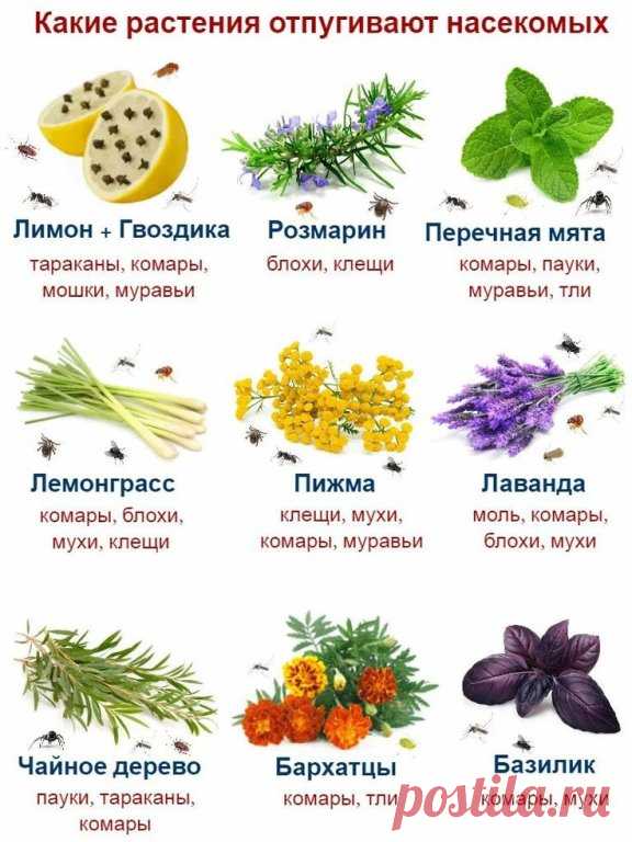 Сохраняем!
