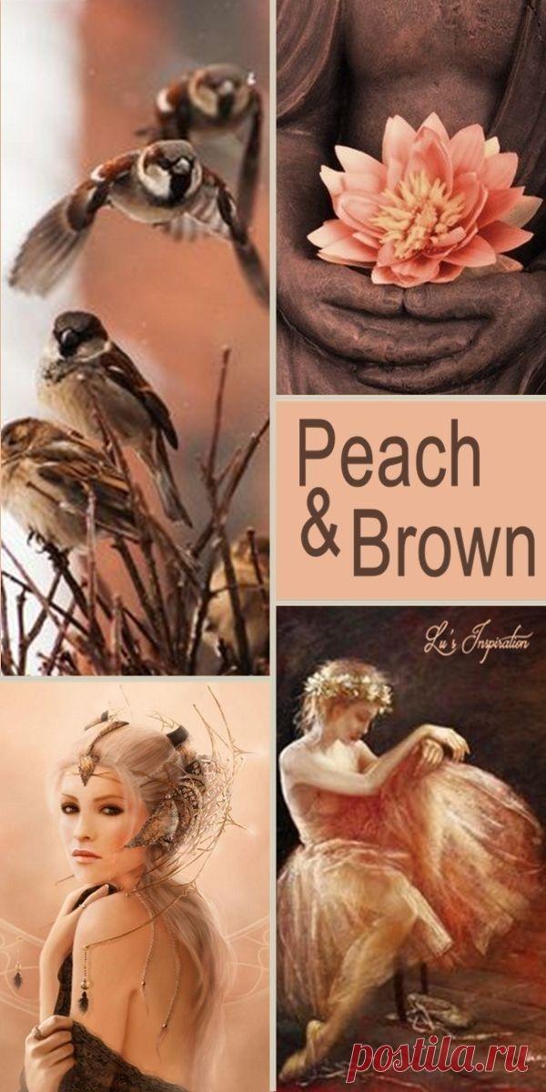 - Цветотерапия при гиперметропии
- Цветотерапия при дальнозоркости
- Цветотерапия при астигматизме
- Цветотерапия при амблиопии (слабовидение, ленивый глаз)
- Цветотерапия при астенопии
- Цветотерапия при пресбиопии
- Цветотерапия при синдроме сухого глаза (сухой