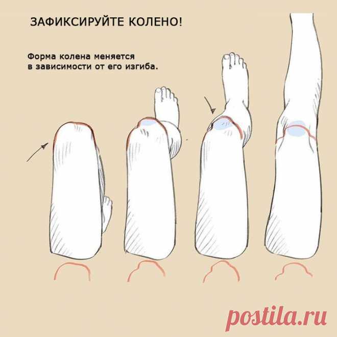 Урок. Рисунок. Колено.