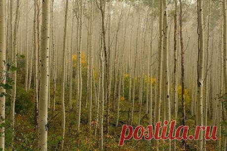 Нырнуть в мир природы с головой... / Туристический спутник