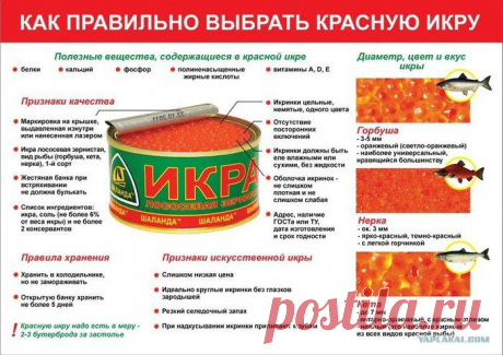 Разное