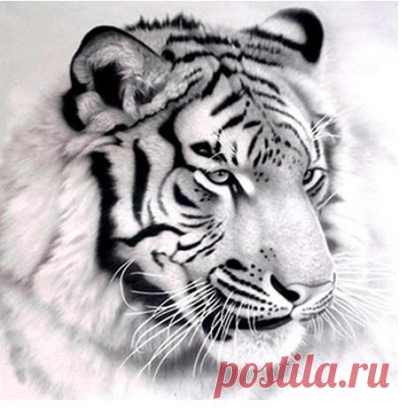 (99) Одноклассники