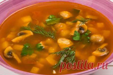 Вкусный суп с овощами, грибами и сельдереем