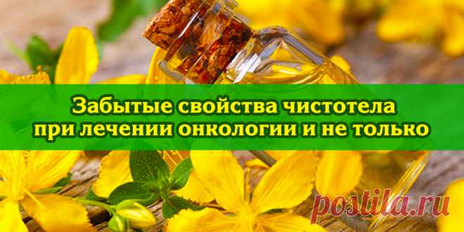 Забытые свойства чистотела при лечении онкологии и не только | Полезные советы