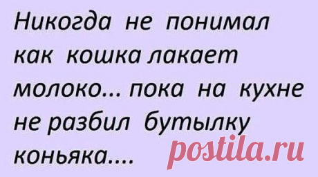 Интересные новости