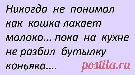Интересные новости
