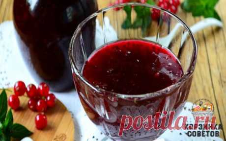 Желе из чёрной смородины. отличный рецепт