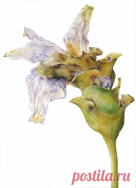 Paintings - Victoria Braithwaite