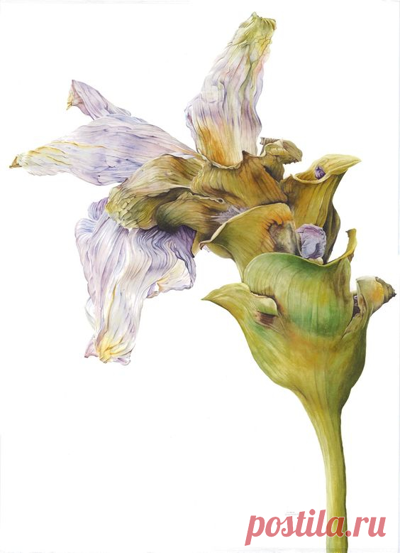 Paintings - Victoria Braithwaite