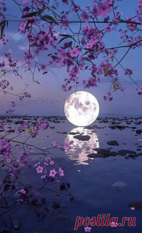 Одно из самых счастливых решений моей жизни — это позволить людям думать обо мне всё, что им приходит в голову… В конце концов, это их голова, их мысли, и их время, потраченное на то, на что они сочли нужным…

И — настала восхитительная свобода…Мне больше не страшно никого разочаровать! Я ни минуты не потрачу на спор… Не вступлю ни в одну дискуссию… Не стану доказывать свою правоту, или неправоту…Мне лень…

И я очень жалею того времени, когда было не лень… Не лень общаться...