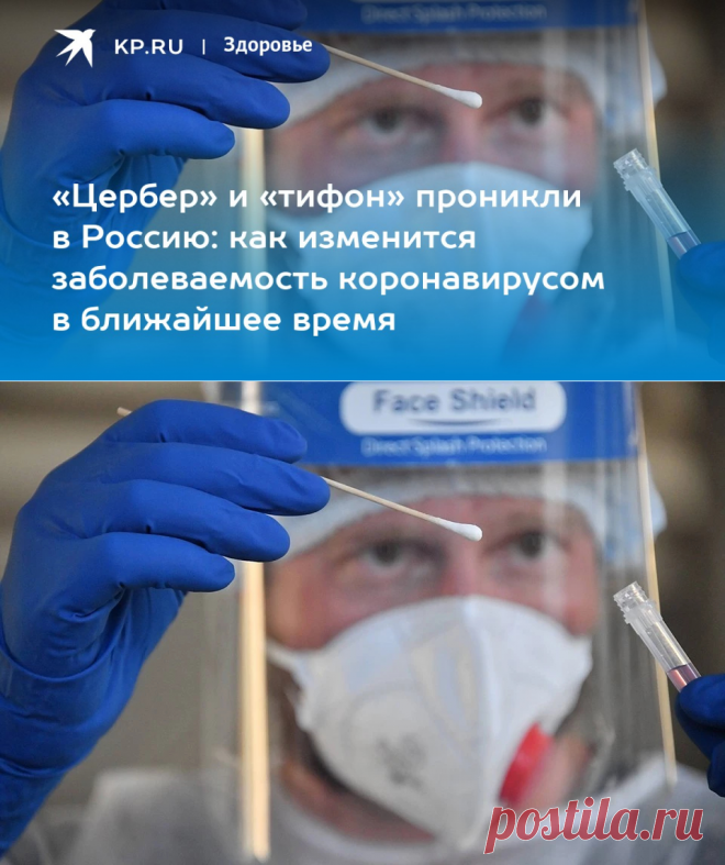 26-10-22-Штаммы коронавируса ТИФОН и ЦЕРБЕР в России в 2022 году - KP.RU