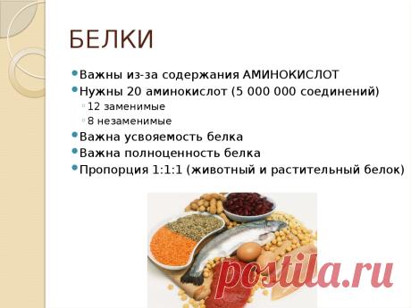 Команда bmd21 Life Style