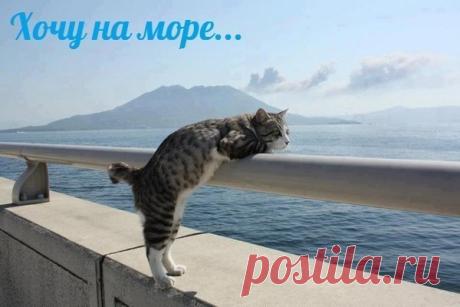 море, хочу к тебе надписи - Поиск в Google