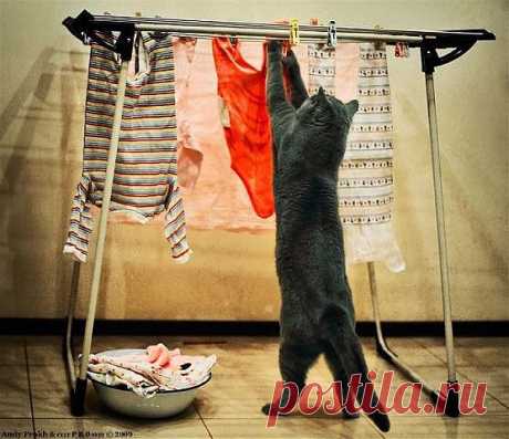 Опять она в командировке...