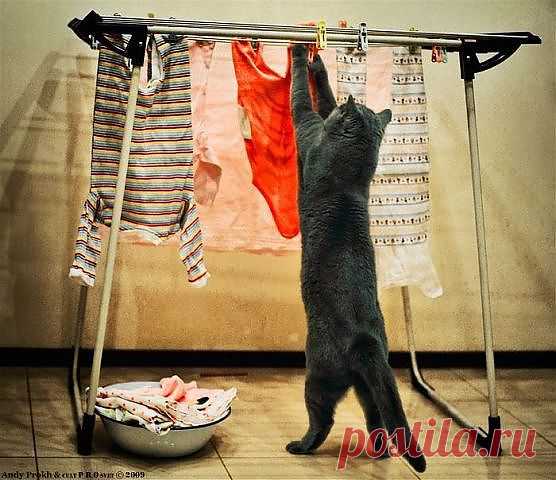 Опять она в командировке...