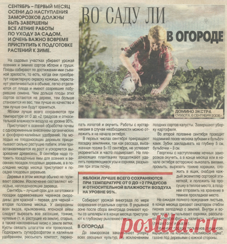 Осенние работы в саду