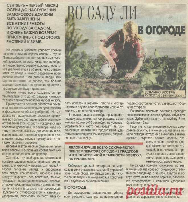 Осенние работы в саду