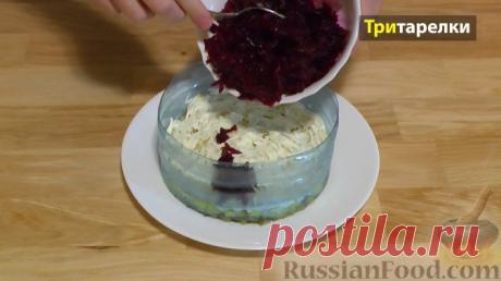 Рецепт: Слоеный салат "Овощной торт" на RussianFood.com