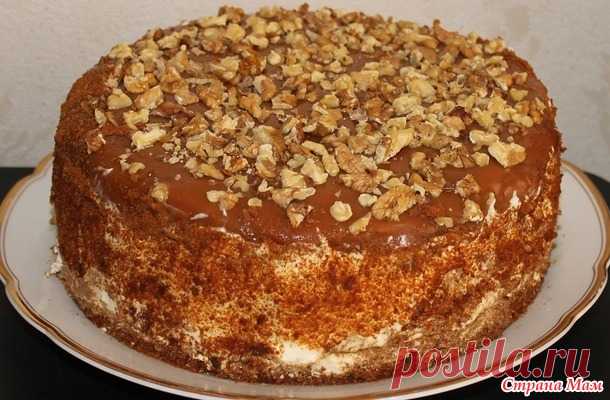 Торт Медовик со сметанным кремом и черносливом. - Люблю готовить - Страна Мам