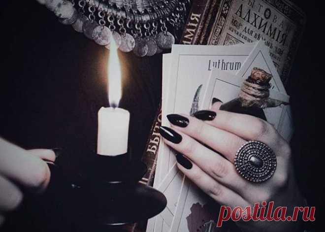 Как сделать диагностику самостоятельно - рекомендации новичку | Кошкин дом Сейчас примерно по 100 раз в день в разных темах можно увидеть модный ответ новичкам 