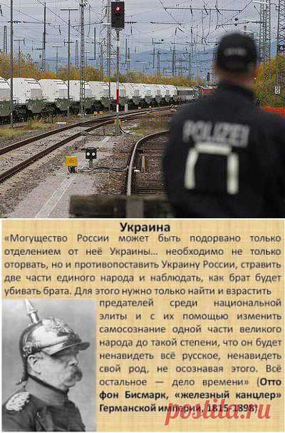 Закон и Порядок. Защитим себя сами!