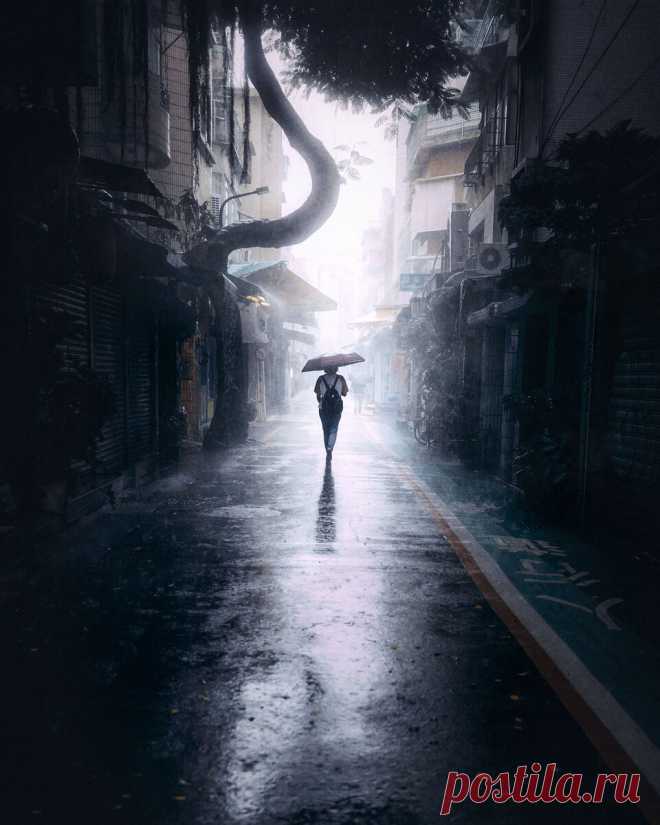 12 атмосферных фото от фотографа из Тайваня | Российское фото | Яндекс Дзен