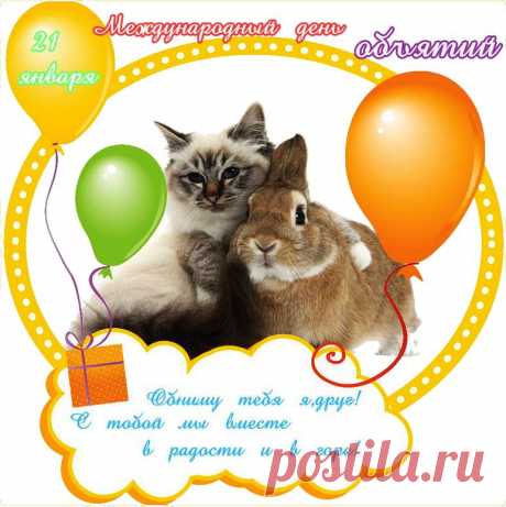 Международный день объятий!