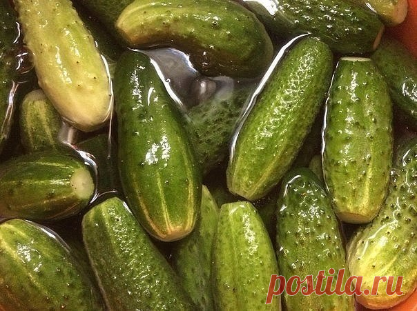 САМЫЙ ВКУСНЫЙ РЕЦЕПТ СОЛЕНЫХ ОГУРЧИКОВ, КОТОРЫМ ПОЬЗУЮСЬ УЖЕ 20 ЛЕТ!

 Для тех, кто любит хрустящей и острое!!! 
Я получила его, когда училась у деревенской бабушки- травницы, в глухой деревушке на Алтае. До того момента считала, что все огурцы ужасны в солении - мягкие, водянистые, невкусные. До сих пор, пробуя огурцы у всех, кто не знает этого рецепта, ни разу не ела вкусных!!! 

Рецепт простейший, результат - супер!!! Секрет - соленая вода (колодезная или родниковая)!!!...