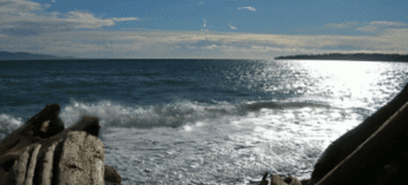 Yalcin Biricik – Google+